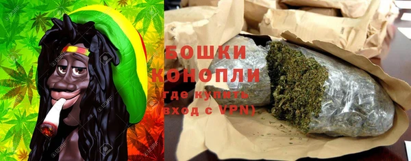 молекула духа Волосово