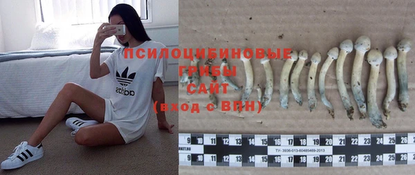 молекула духа Волосово