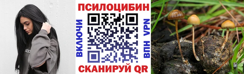 Галлюциногенные грибы MAGIC MUSHROOMS  купить наркотики сайты  кракен как зайти  Мещовск 