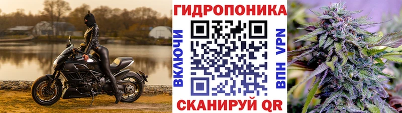 Шишки марихуана OG Kush  Мещовск 
